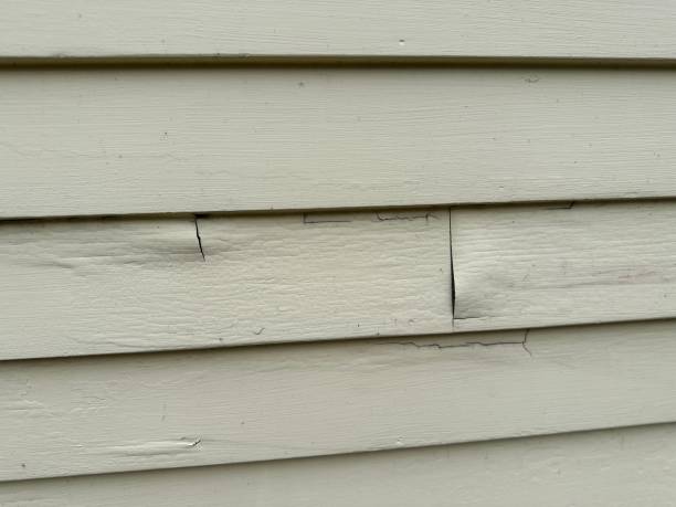 Same-Day Junk Removal Services in St Robert, MO